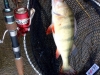 img-20141214-wa0000