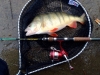 img-20141214-wa0001