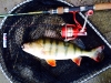 img-20141214-wa0002