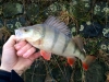 img-20141214-wa0003