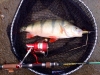 img-20141214-wa0004